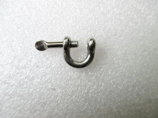 Stainless Steel Shackle
