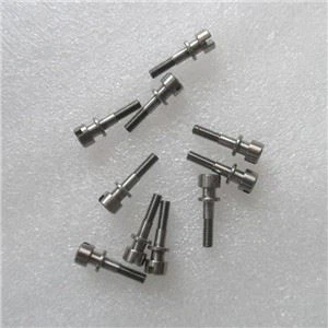 Titanium Screw